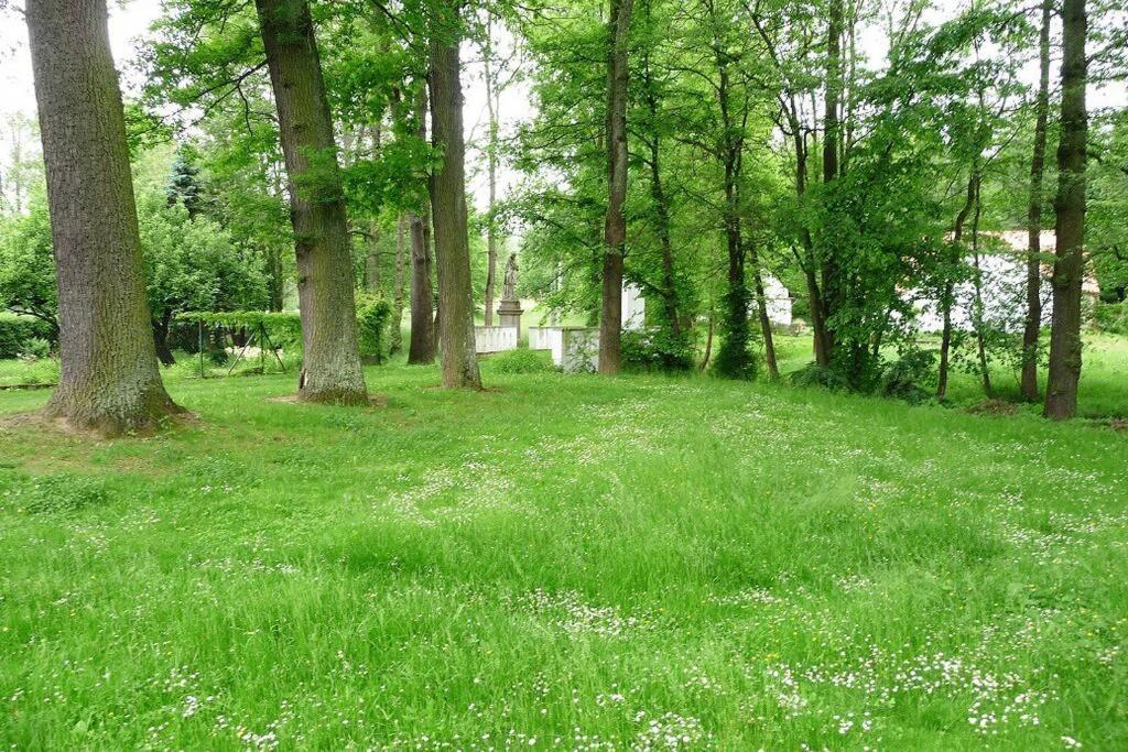 Chalupa U Kolcavy Volenice  Esterno foto